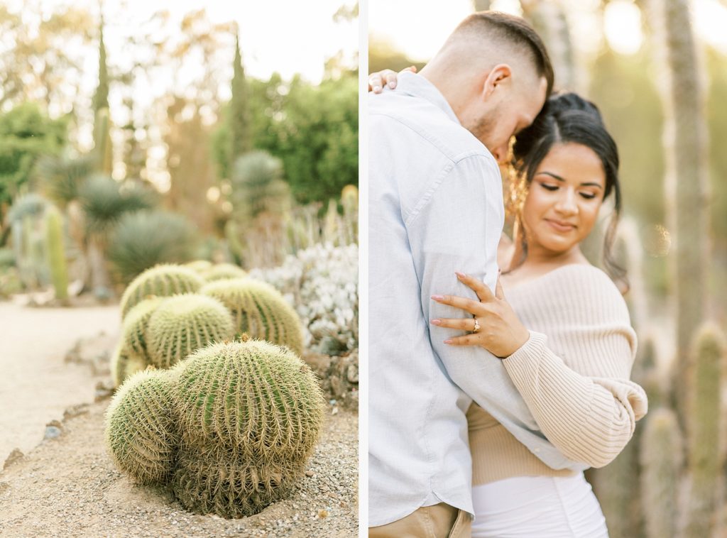 two side by side portraits, one of multiple cacti and second of engaged couple in the Arizona cactus garden