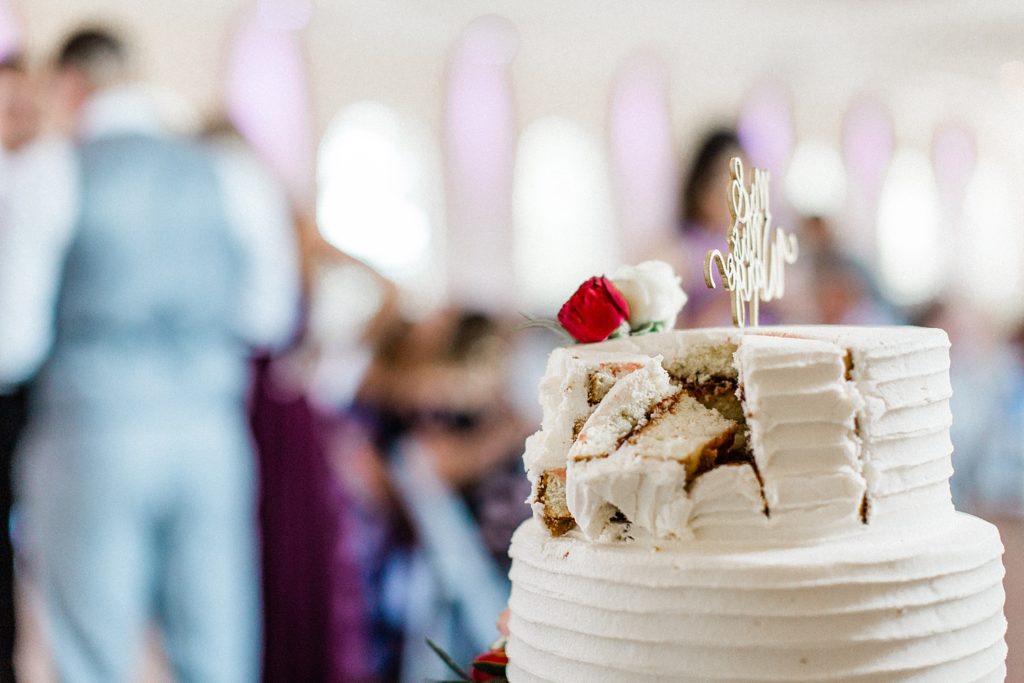 mccauley estate vineyards, wedding reception, newlyweds, cake cut