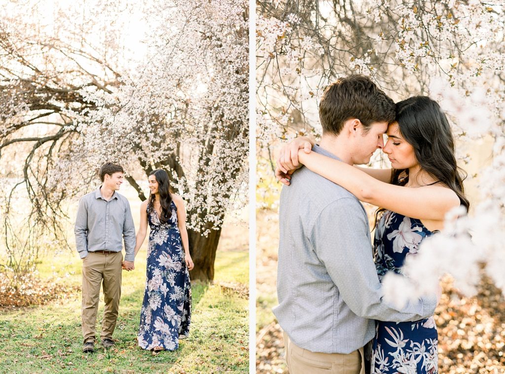 almond blossoms, couple portrait, engagement photo, Redding photography